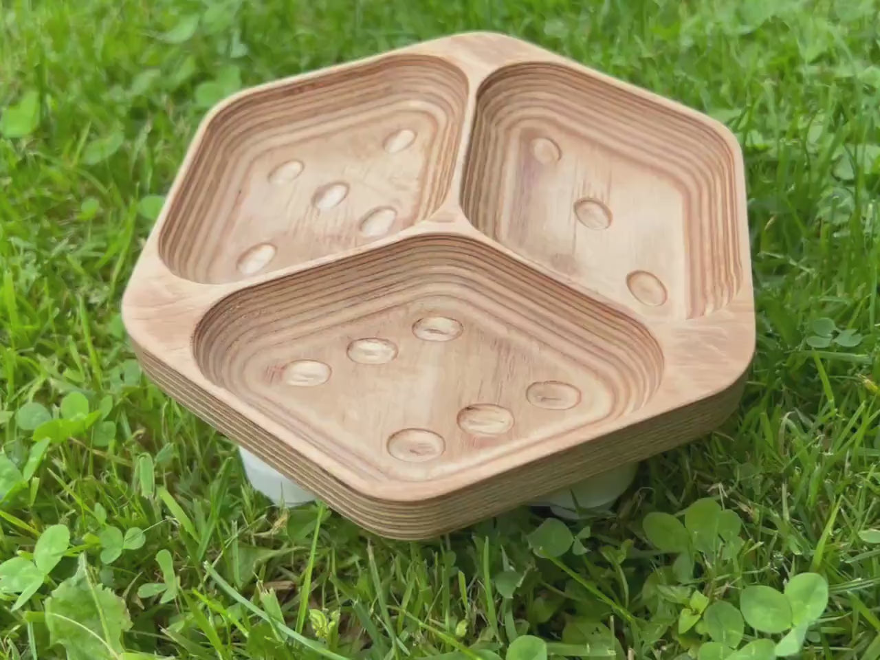 D6 Die-Shaped Token Tray - 3-Compartment Plywood Organizer for Game Tokens & Player Areas